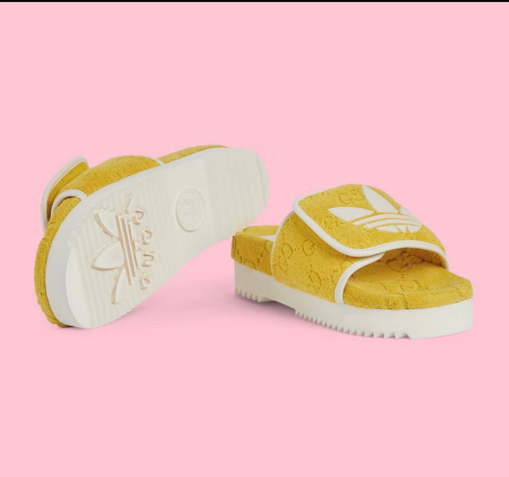 GG Collab Slides image 3