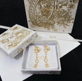 CD Dangling Earrings image 0